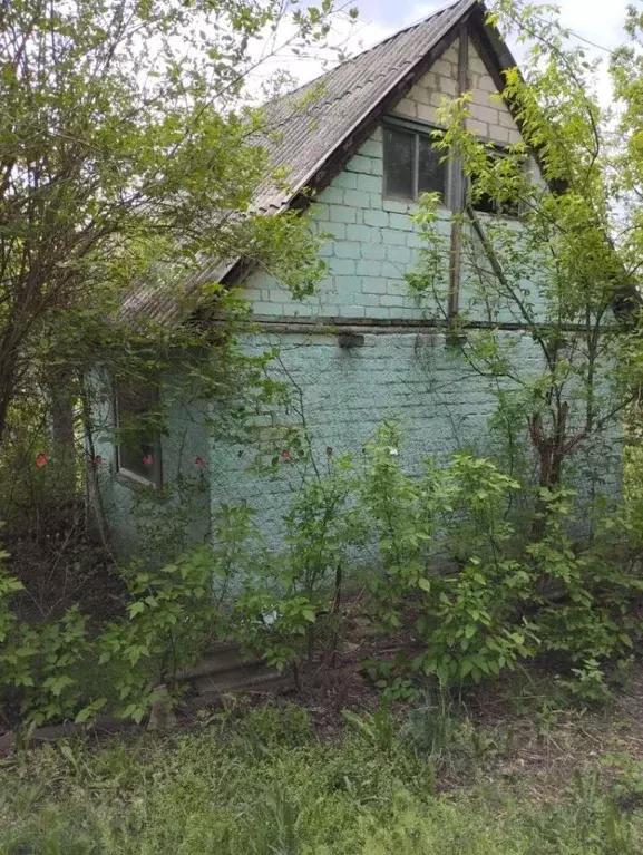 Дом в Белгородская область, Белгородский район, Никольское с/пос, с. ... - Фото 1