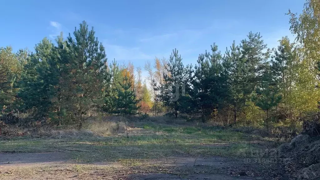 Участок в Воронежская область, Воронеж Большая Семья СНТ, ул. Луговая, ... - Фото 0