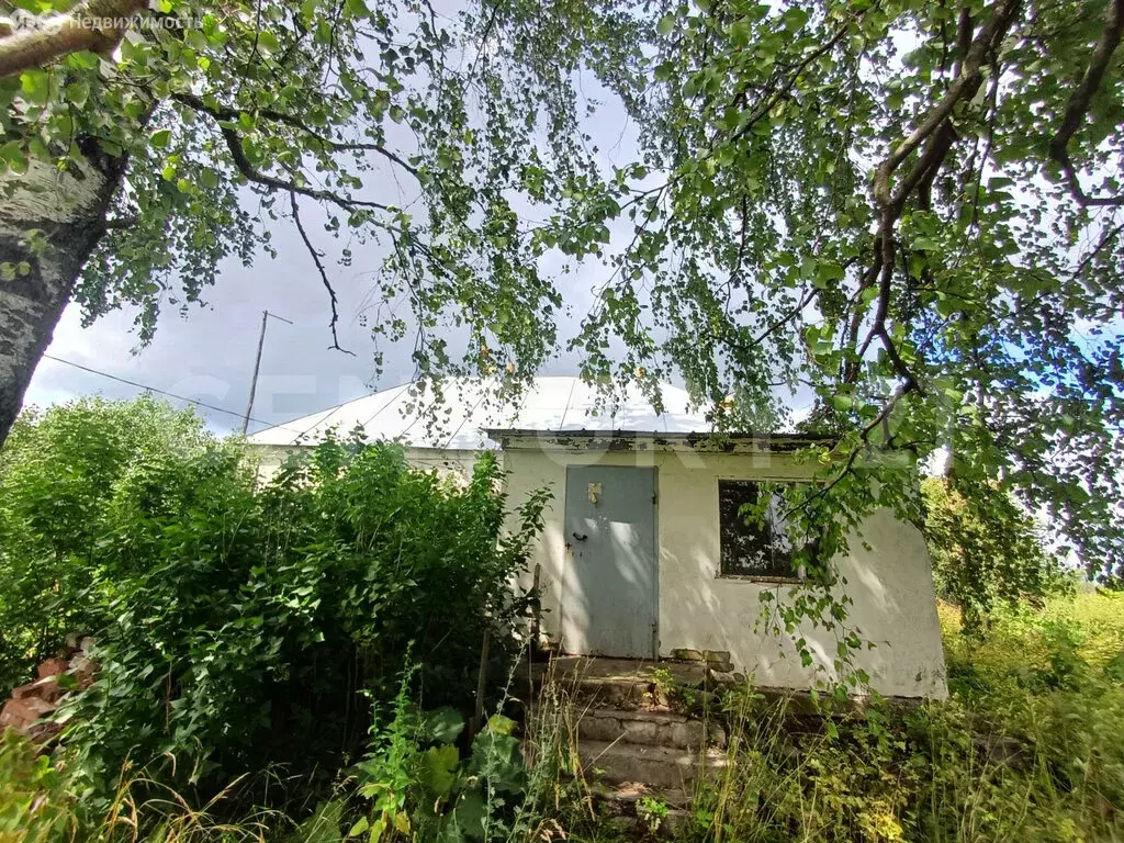 Дом в Васильевка, Центральная улица, 99 (40 м) - Фото 0