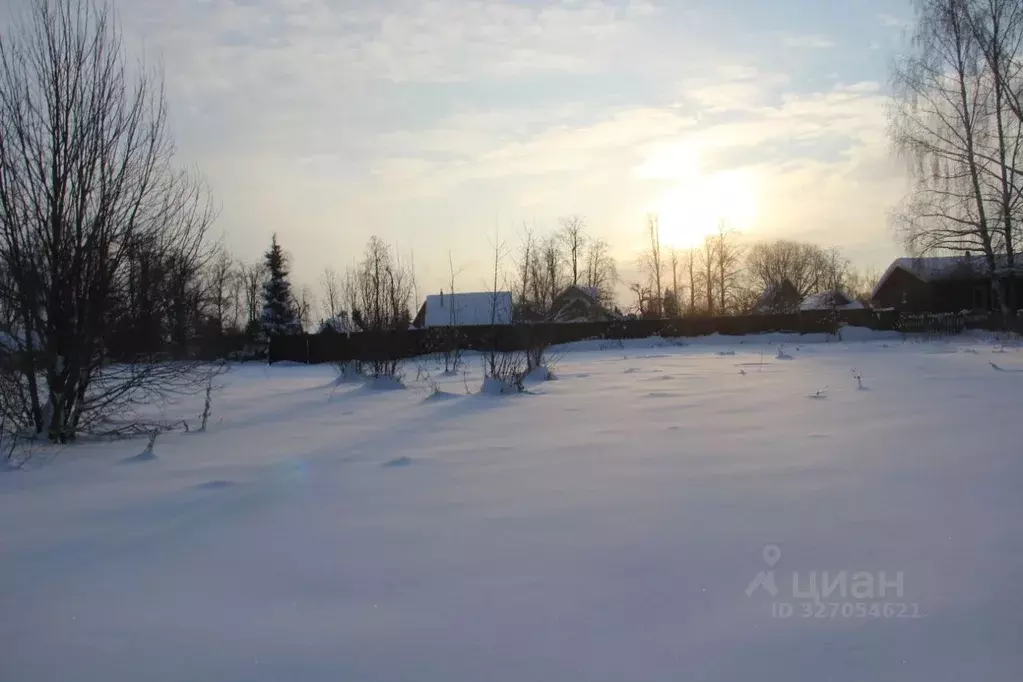 Участок в Московская область, Шаховская муниципальный округ, д. ... - Фото 2