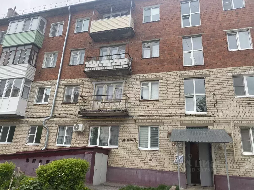 1-к кв. Нижегородская область, Павлово ул. Пушкина, 1 (33.0 м) - Фото 0