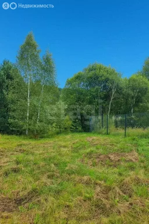 Участок в Ярославский муниципальный округ, деревня Полесье (8 м) - Фото 1