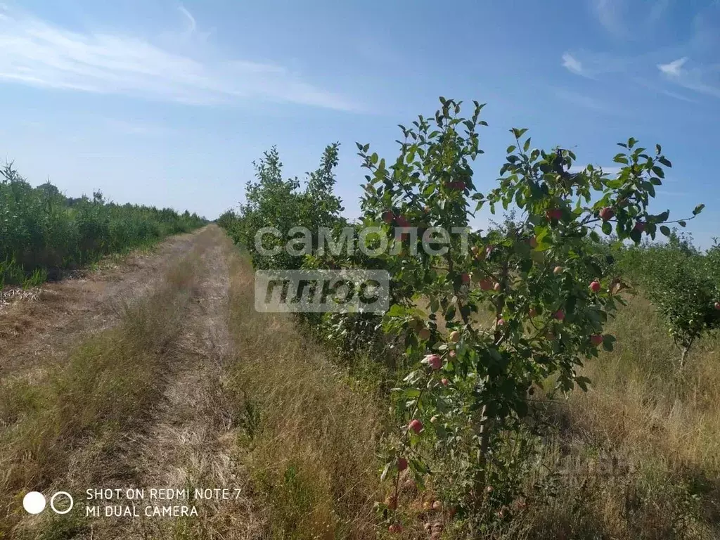 Участок в Астраханская область, Харабали  (2100.0 сот.) - Фото 0