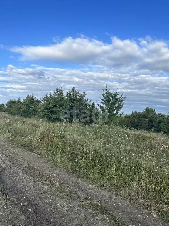 Участок в Адыгея, Майкопский район, Абадзехское с/пос, Новосвободная ... - Фото 1