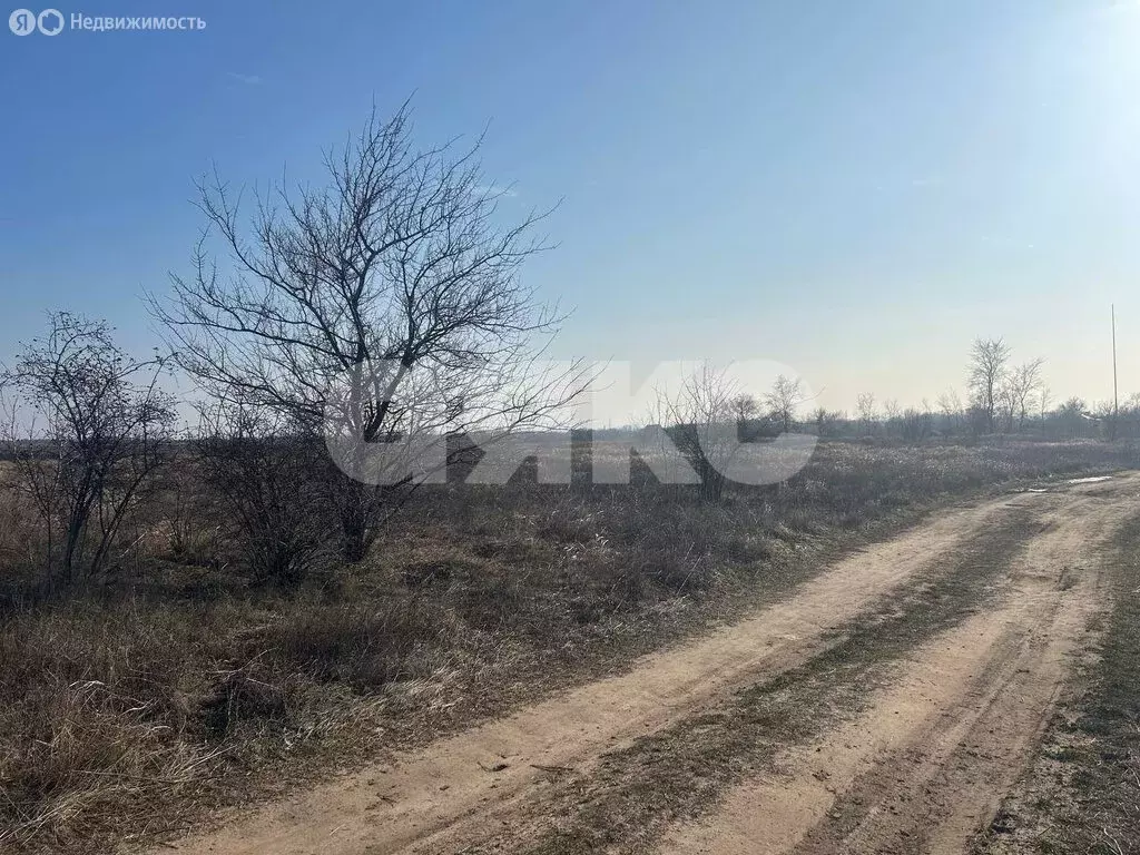 Участок в Темрюк, садово огородное товарищество Автомобилист, Водный ... - Фото 1