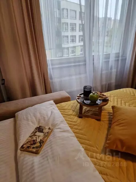 Студия Москва пос. Коммунарка, ул. Бачуринская, 7к1 (25.0 м) - Фото 2