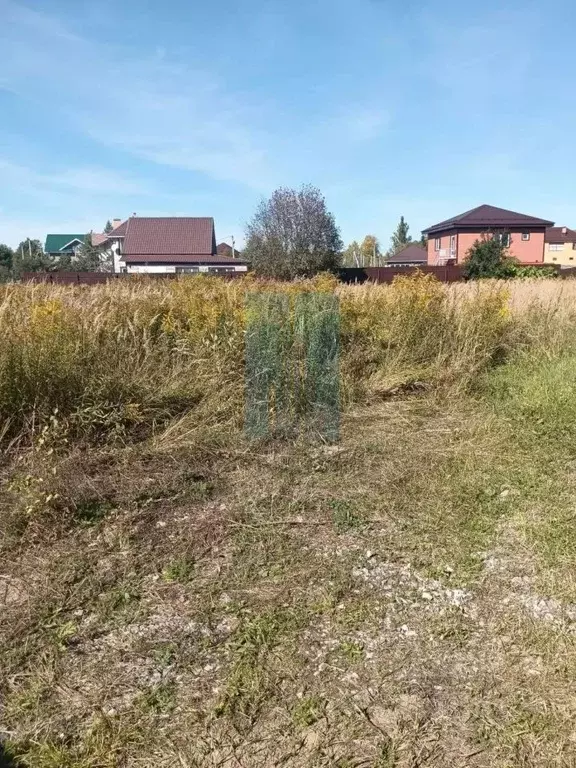 Участок в Тульская область, Заокский рп ул. Южная, 12 (12.0 сот.) - Фото 2