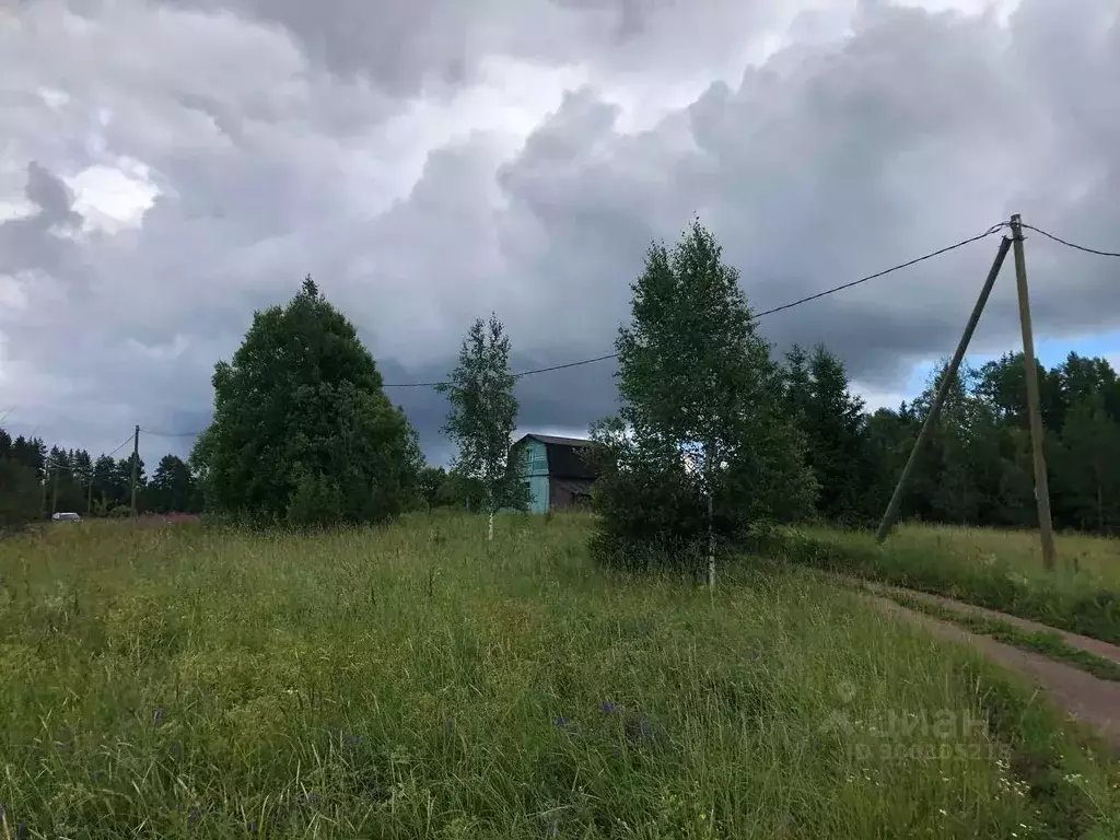 Участок в Ленинградская область, Выборгский район, Селезневское с/пос, ... - Фото 1