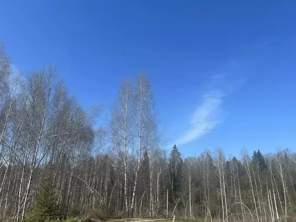 Участок в Московская область, Дмитровский муниципальный округ, д. ... - Фото 2