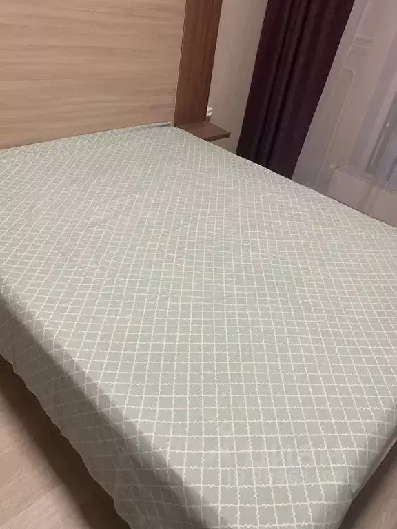 Студия Санкт-Петербург Пулковское ш., 14Г (24.0 м) - Фото 2