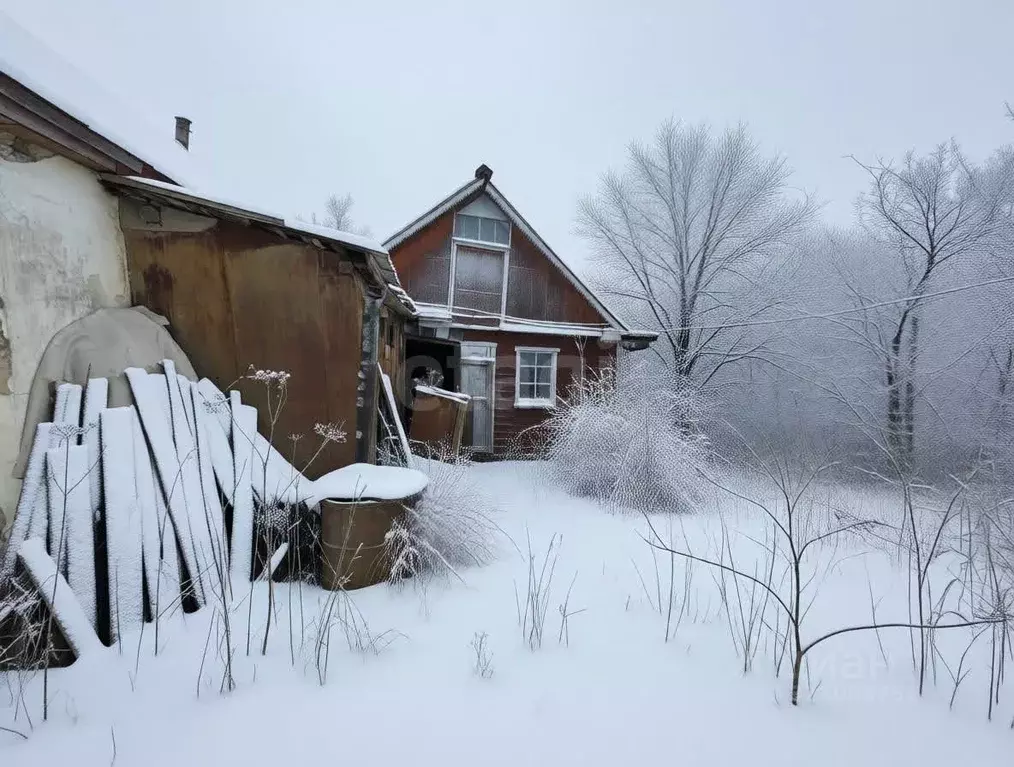 Дом в Тульская область, Тула городской округ, с. Федоровка 53 (45 м) - Фото 2