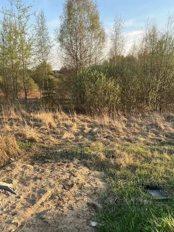 Участок в Московская область, Раменский муниципальный округ, д. ... - Фото 1