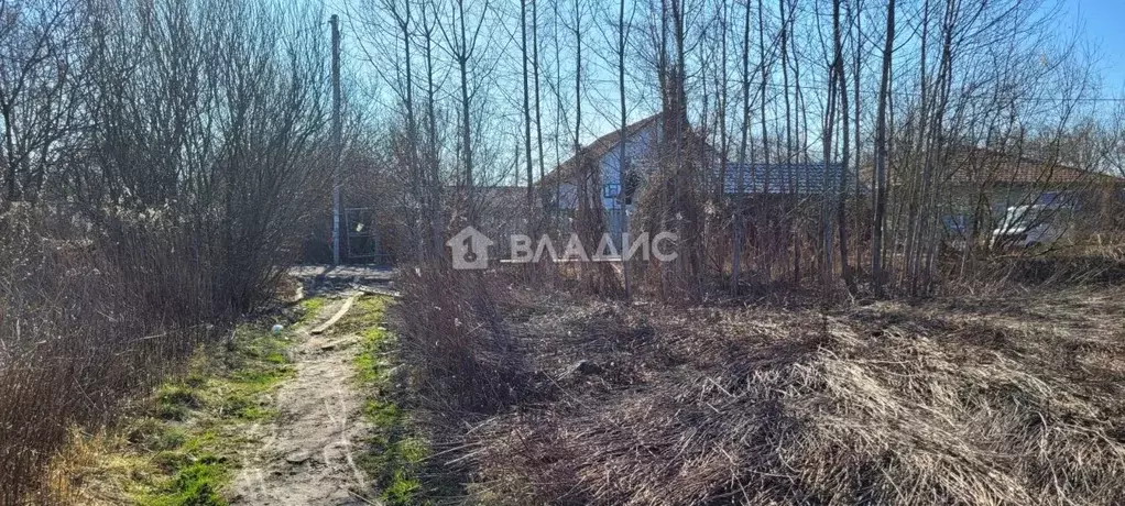 Участок в Калининградская область, Калининград Радуга СНТ, проезд ... - Фото 1