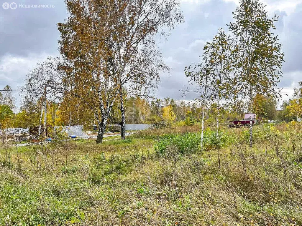 Участок в Искитимский район, Мичуринский сельсовет, дачное ... - Фото 0