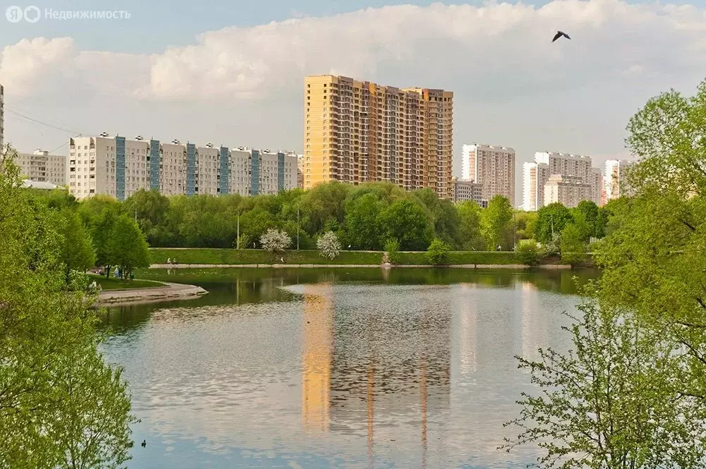 Помещение свободного назначения (32 м) - Фото 2