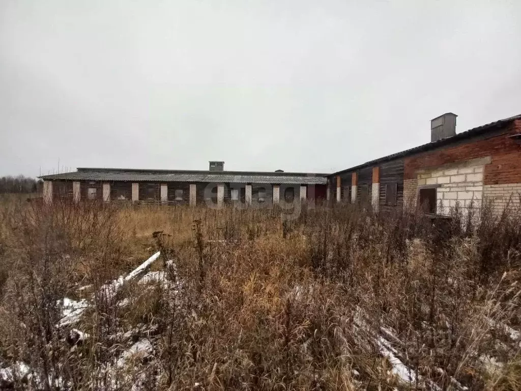 Склад в Вологодская область, Белозерский муниципальный округ, д. ... - Фото 2