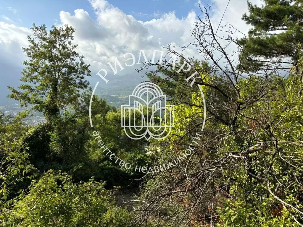 Участок в Крым, Ялта муниципальный округ, Массандра пгт ул. ... - Фото 1