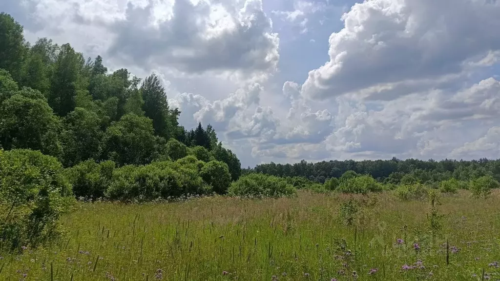 Участок в Московская область, Можайский муниципальный округ, Лесной кп ... - Фото 1