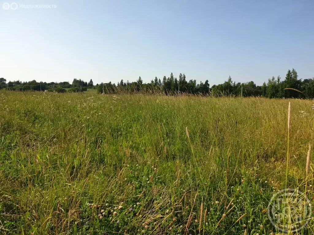 Участок в Велигонты, Ропшинское шоссе (10 м) - Фото 0
