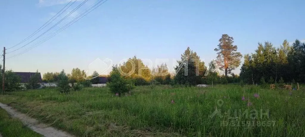 Участок в Тюменская область, Нижнетавдинский район, пос. Торгили ... - Фото 1