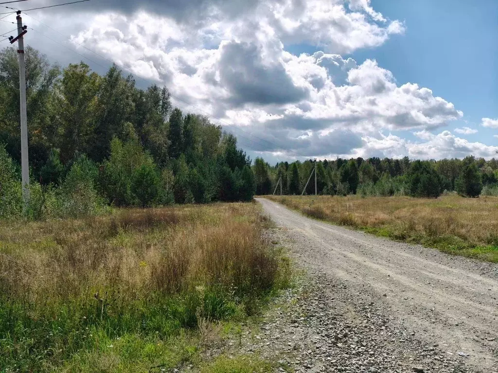 Участок в Новосибирская область, Новосибирский район, Кубовинский ... - Фото 2