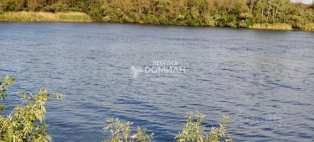 Участок в Ростовская область, Октябрьский район, Бессергеневское ... - Фото 2