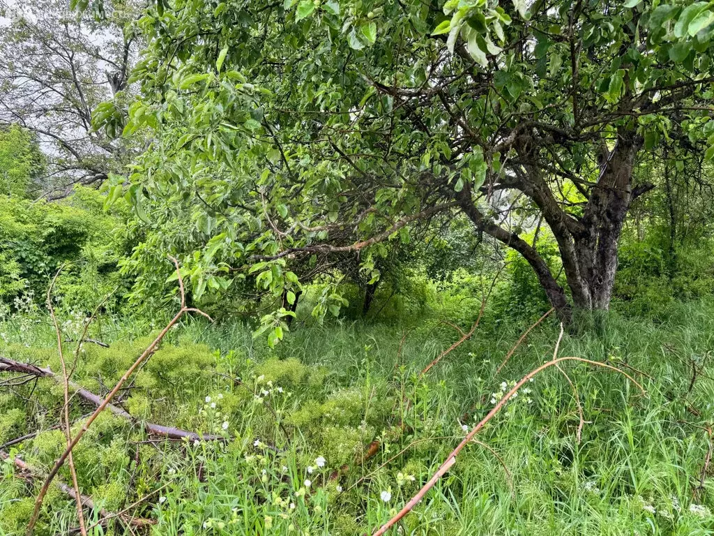 Участок в посёлок Краснооктябрьский, Северная улица, 19 (9.2 м) - Фото 1