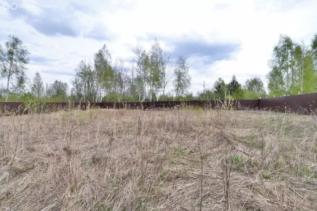 Участок в Павлово-Посадский городской округ, деревня Дмитрово, Снежная ... - Фото 0