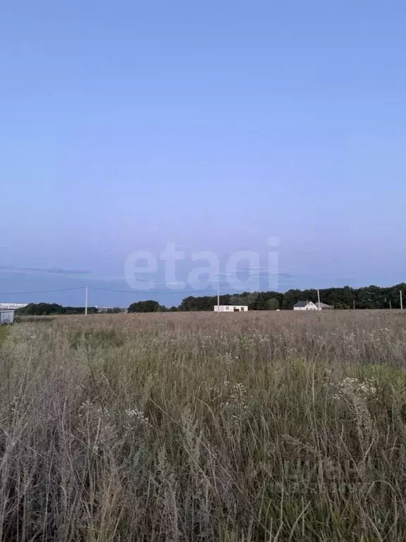 Участок в Курская область, Курский район, Моковский сельсовет, д. ... - Фото 1