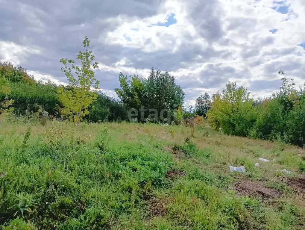 Участок в Башкортостан, Стерлитамакский район, Отрадовский сельсовет, ... - Фото 1