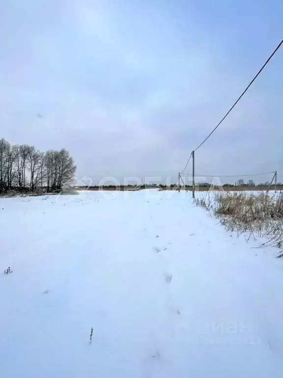 Участок в Тюменская область, Тюменский район, д. Большие Акияры  (8.0 ... - Фото 0