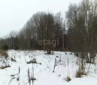 Участок в Вологодская область, Костино-2 садоводческое товарищество  ... - Фото 1