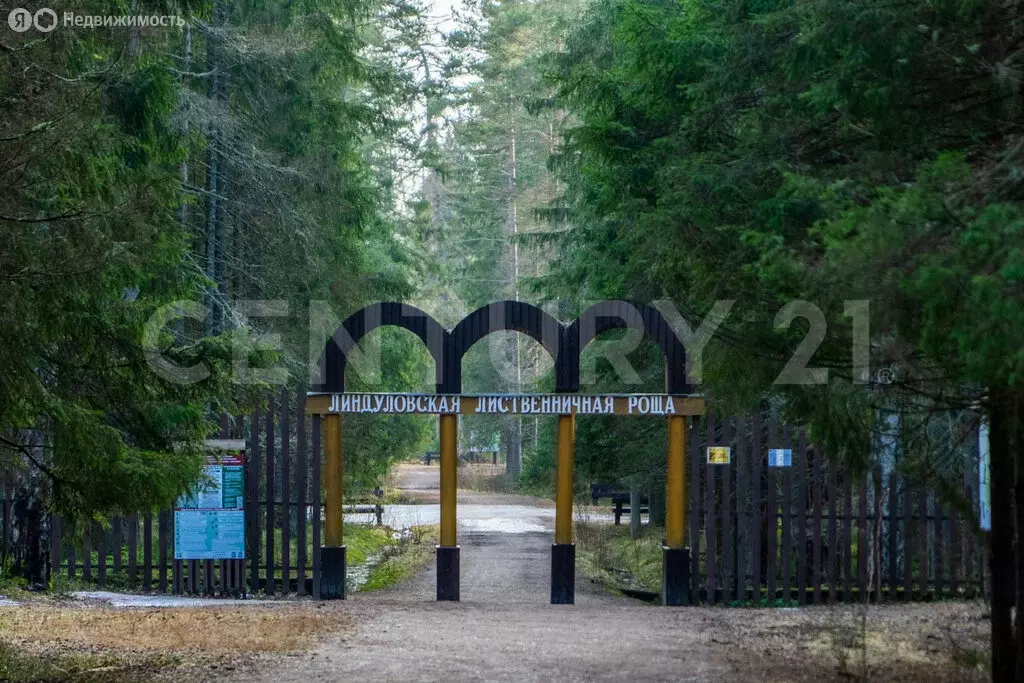 Дом в городской посёлок Рощино, улица Сухотского, 1 (40 м) - Фото 2