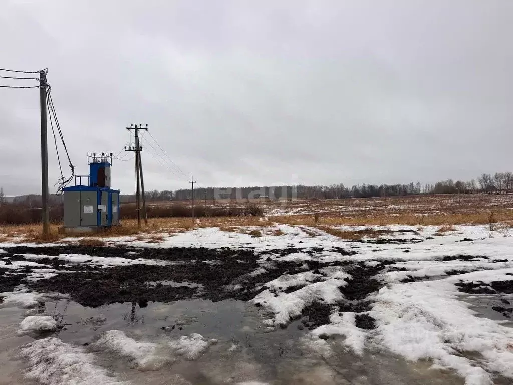Участок в Курганская область, Шадринский муниципальный округ, с. Ключи ... - Фото 1