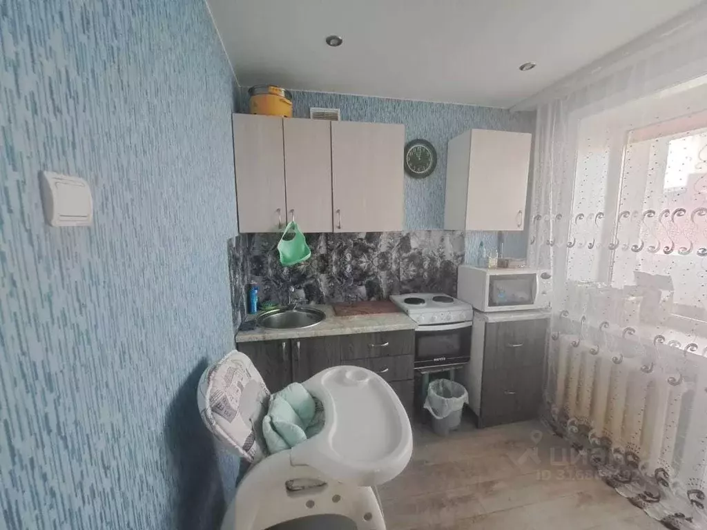 1-к кв. Амурская область, Благовещенск ул. Шафира, 64/2 (31.4 м) - Фото 1