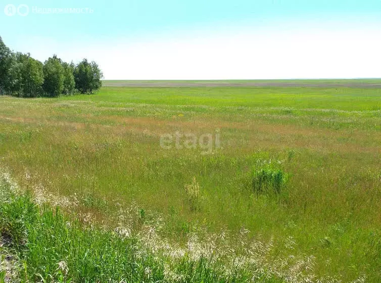 Участок в Чебаркульский район, Травниковское сельское поселение, ... - Фото 0