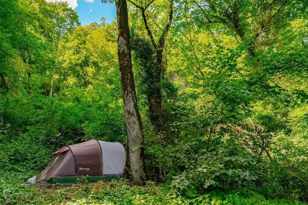 Дом в Краснодарский край, Сочи ул. Чекменева, 30 (20 м) - Фото 2