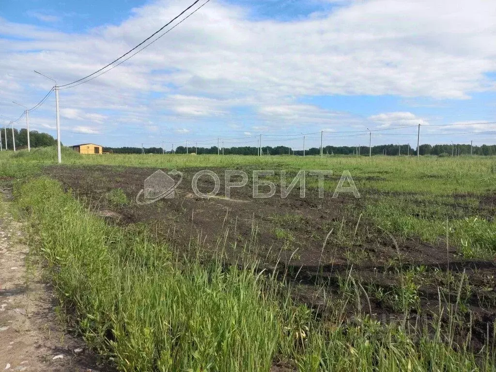 Участок в Тюменская область, Тюменский район, Новокаменский кп  (7.2 ... - Фото 0