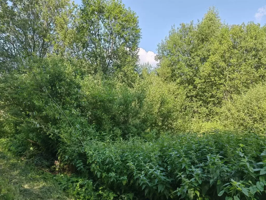 Участок в Московская область, Клин городской округ, Решетниково пгт ... - Фото 2