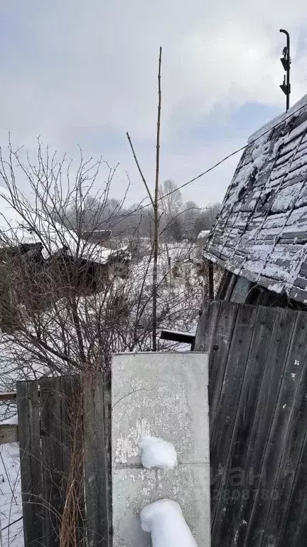 Участок в Хабаровский край, Комсомольск-на-Амуре пос. Чкаловский, ул. ... - Фото 1