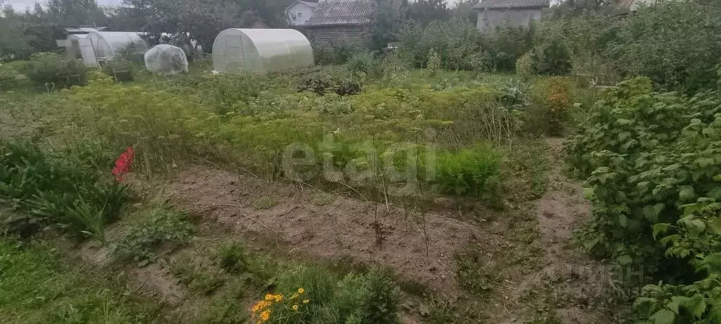 Дом в Костромская область, Кострома Полиграфист СНТ,  (24 м) - Фото 0