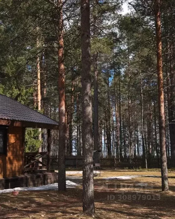 Дом в Карелия, Суоярвский муниципальный округ  (100 м) - Фото 0