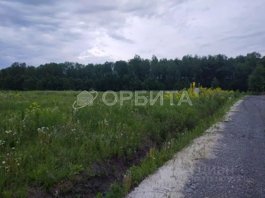 Участок в Тюменская область, Тюменский район, с. Каменка  (9.18 сот.) - Фото 0
