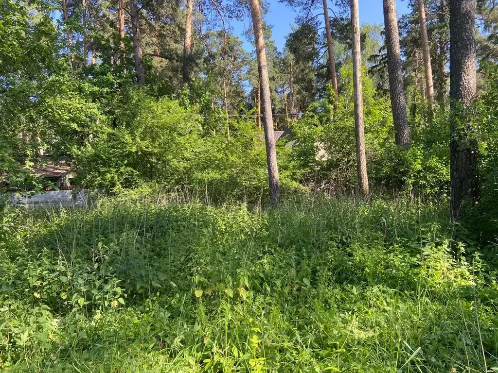 Дом в Московская область, Раменский городской округ, Ильинский рп ул. ... - Фото 0