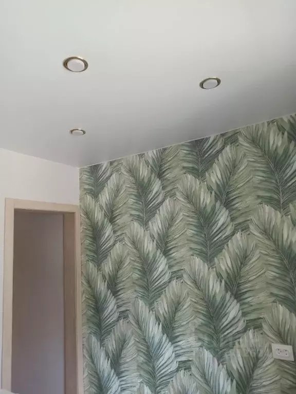 1-к кв. Курганская область, Курган ул. Гоголя, 2 (30.0 м) - Фото 2