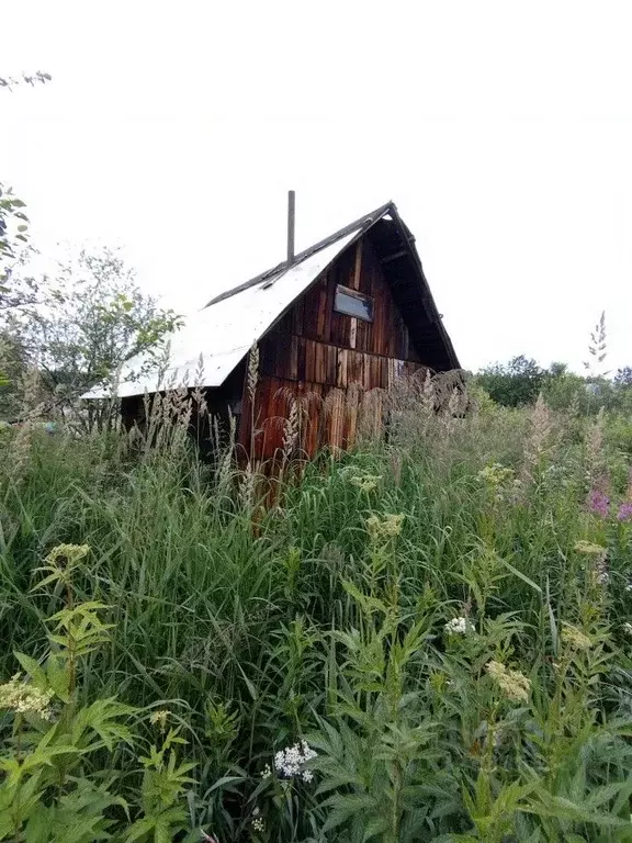 Участок в Свердловская область, Екатеринбург Приисковый-9 СНТ, 127 ... - Фото 1