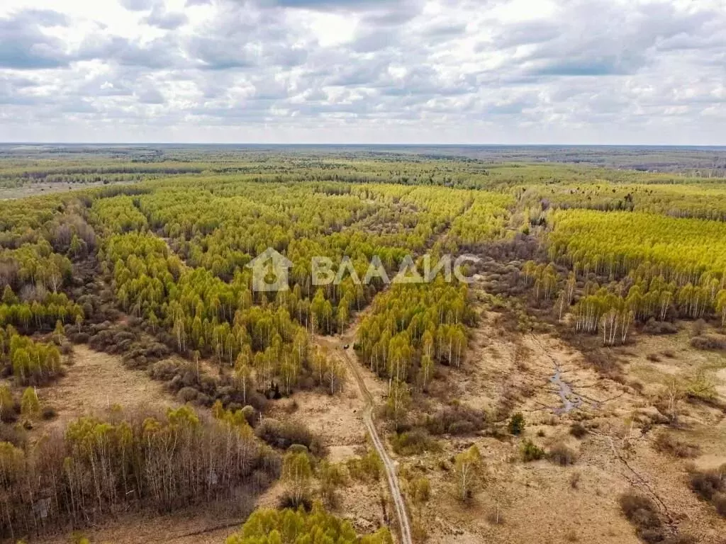 Участок в Владимирская область, Судогодский район, Головинское ... - Фото 0