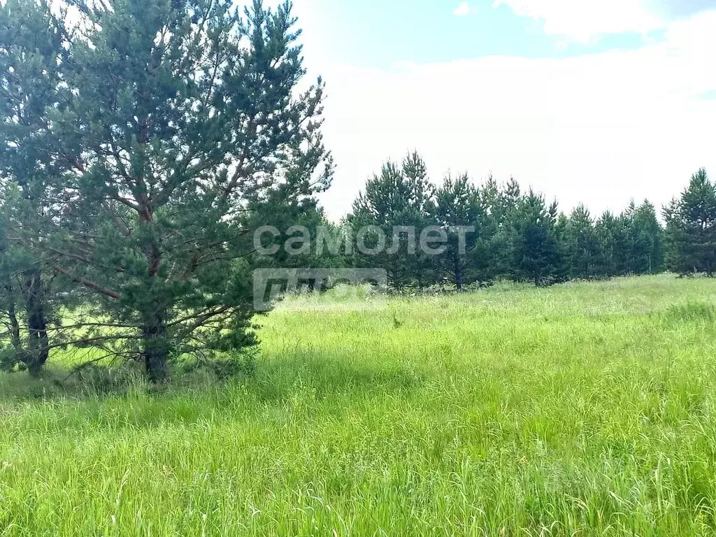 Участок в Курганская область, Курган Тополя СТ, 49 (17.0 сот.) - Фото 1