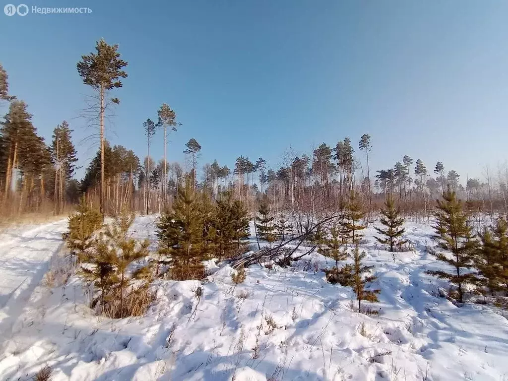 Участок в Читинский район, село Смоленка (46.6 м) - Фото 1