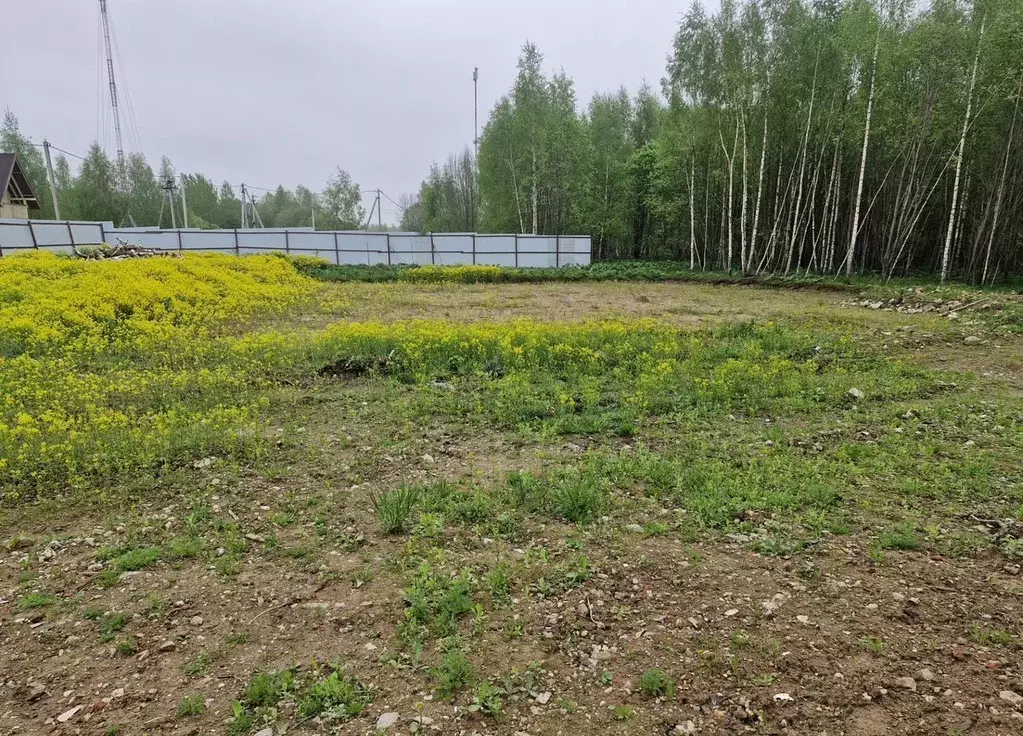 Участок в Московская область, Рузский муниципальный округ, Рузские ... - Фото 1